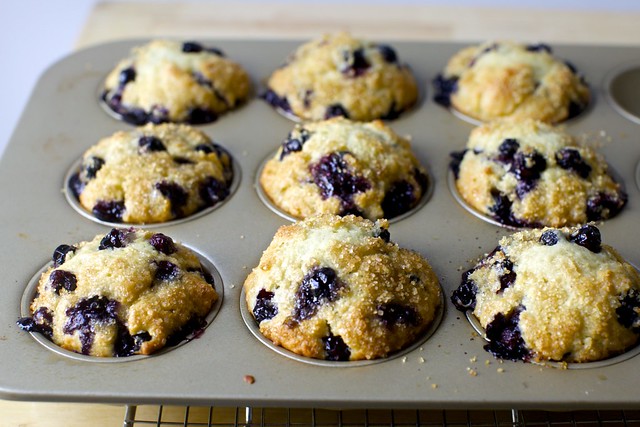 even more perfect blueberry muffins