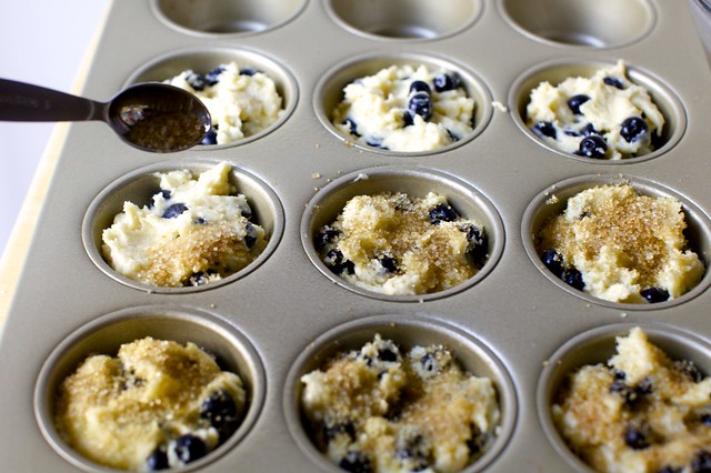 even more perfect blueberry muffins